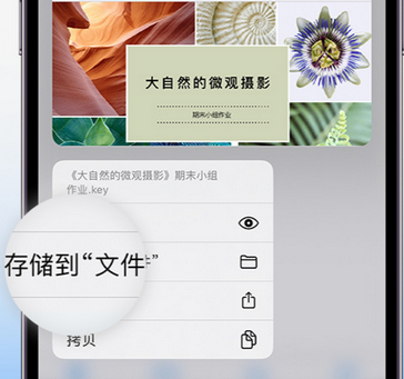 鸡泽apple维修中心分享iPhone文件应用中存储和找到下载文件