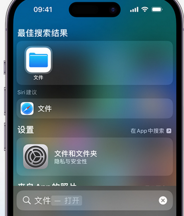 鸡泽apple维修中心分享iPhone文件应用中存储和找到下载文件