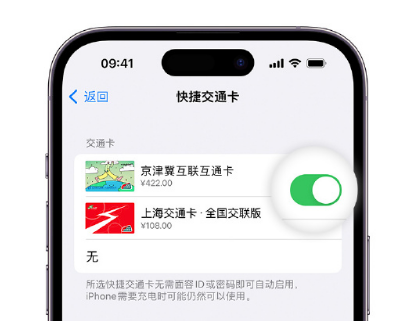 鸡泽apple维修点分享iPhone上更换Apple Pay快捷交通卡手绘卡面 