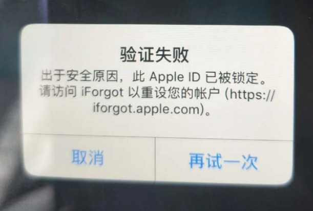 鸡泽iPhone维修分享iPhone上正常登录或使用AppleID怎么办 