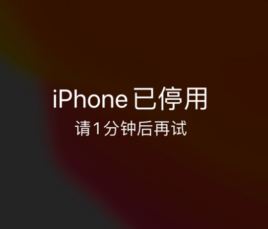 鸡泽苹果手机维修分享:iPhone 显示“不可用”或“已停用”怎么办？还能保留数据吗？ 