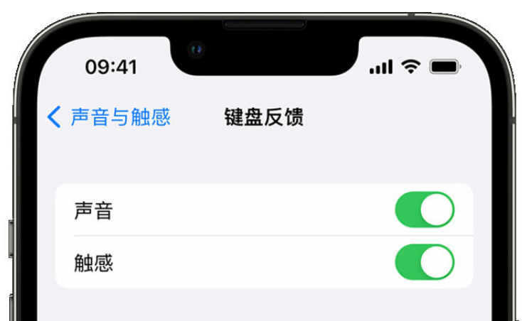 鸡泽苹果手机维修分享iPhone 14触感键盘使用方法 