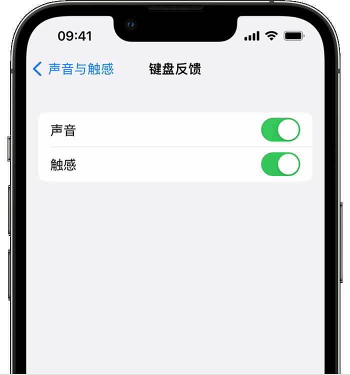 鸡泽苹果14维修店分享如何在 iPhone 14 机型中使用触感键盘 