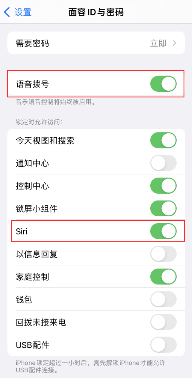 鸡泽苹果维修网点分享不解锁 iPhone 的情况下通过 Siri 拨打电话的方法 