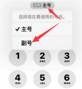 鸡泽苹果14维修店分享iPhone 14 Pro Max使用副卡打电话的方法 