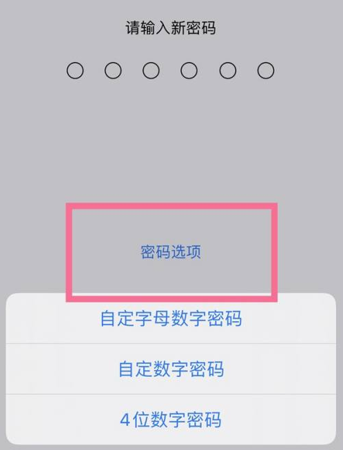 鸡泽苹果14维修分享iPhone 14plus设置密码的方法 