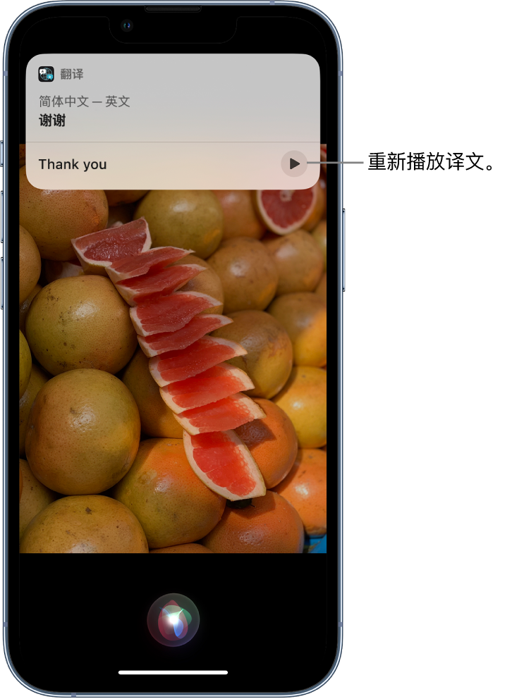 鸡泽苹果14维修分享 iPhone 14 机型中使用 Siri：了解 Siri 能帮你做什么 