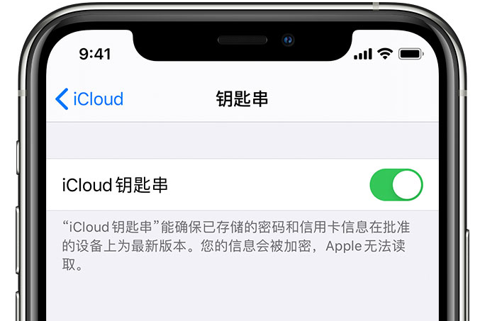 鸡泽苹果手机维修分享在 iPhone 上开启 iCloud 钥匙串之后会储存哪些信息 