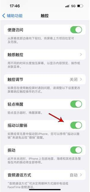 鸡泽苹果手机维修分享iPhone手机如何设置摇一摇删除文字 