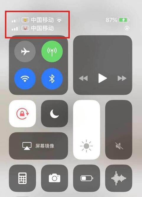 鸡泽苹果手机维修分享为 iPhone 12 双卡设置标签 