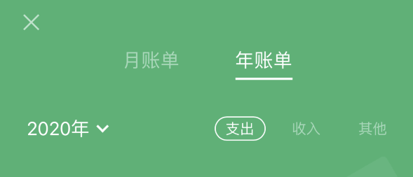 鸡泽苹果手机维修分享如何在 iPhone 上查看支付宝和微信年支出账单 