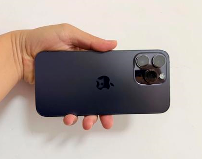 鸡泽苹果维修点分享iPhone 14 Pro Max发烫多重诱因剖析 